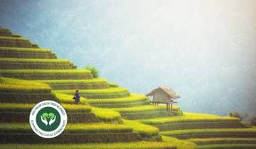 Best Of Vietnam In 14 Days